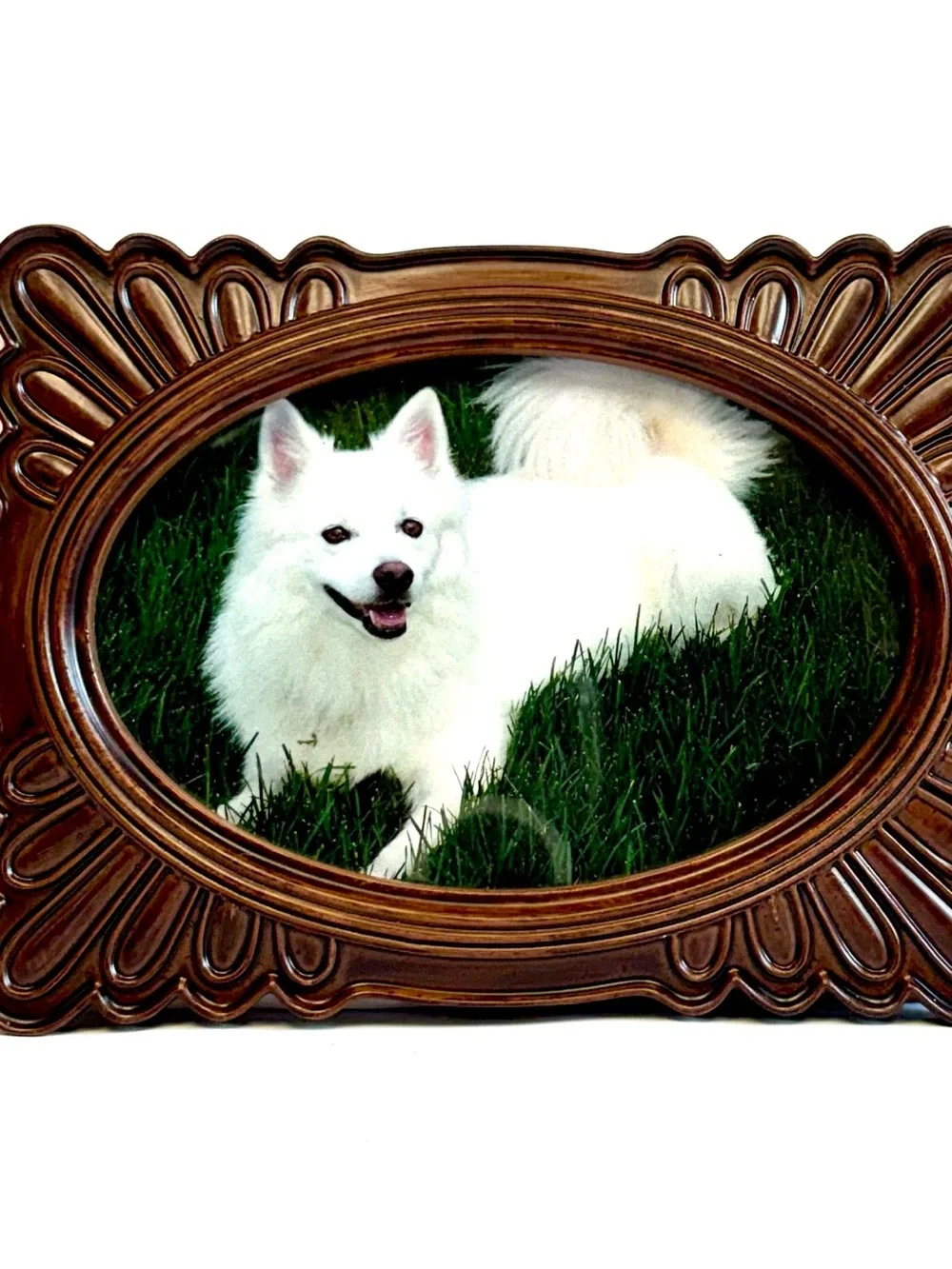 Drexel Heritage rick wood look Brown Scalloped Design Oval Picture Frame 4x6